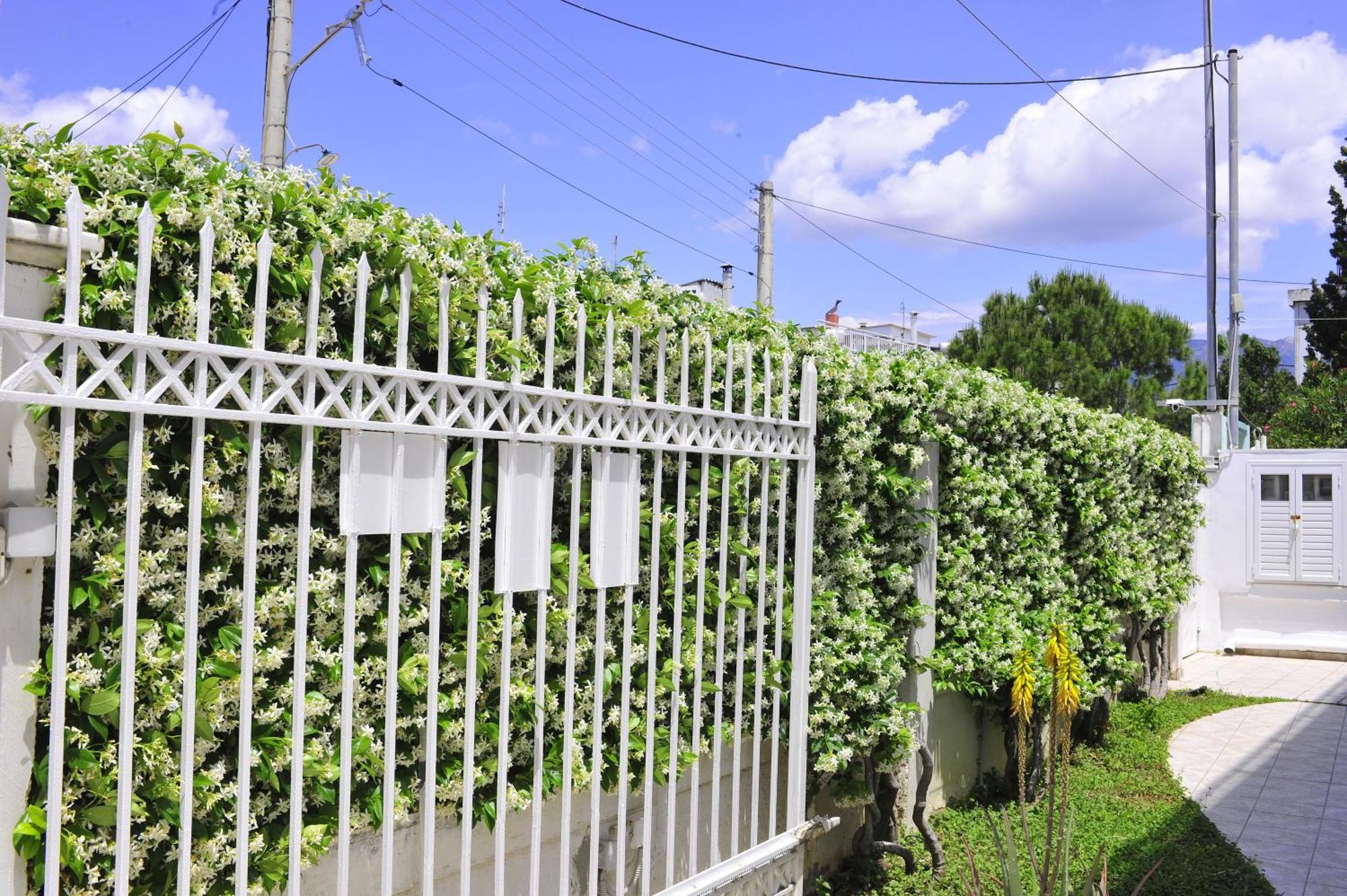 Peloponeese Corinthos Seaside Villa For Short Rent 외부 사진